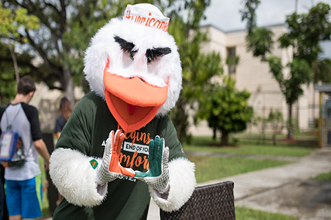 A photo of the University of Miami mascot, Sebastian The Ibis.