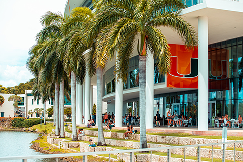 Palm trees in front of the Shalala Center by the lake.